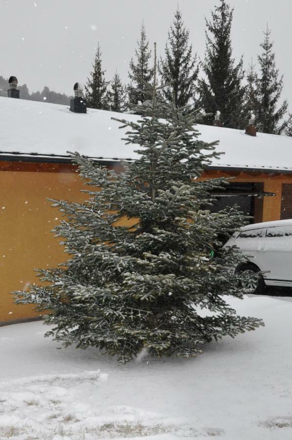 Casa En La Molina Βίλα Λα Μολίνα Εξωτερικό φωτογραφία